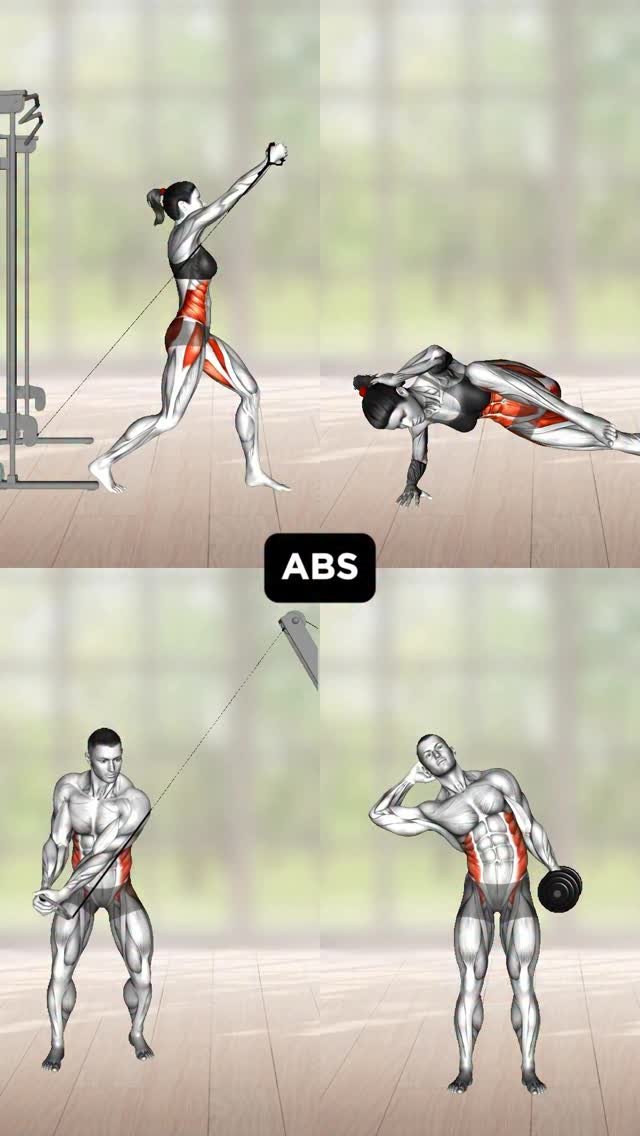 physio_tip 게시물 이미지: Abs and Obliques Exercise Variations🔥 comment...