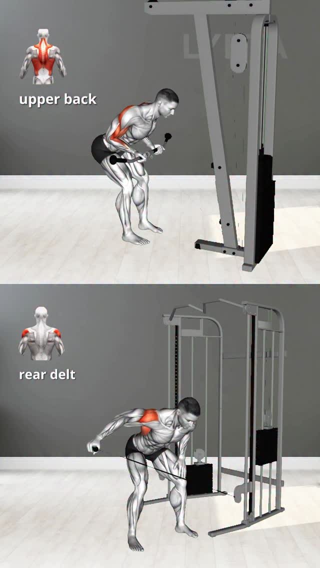 physio_tip 게시물 이미지: Know the difference🫡  Upper back Vs rear delt