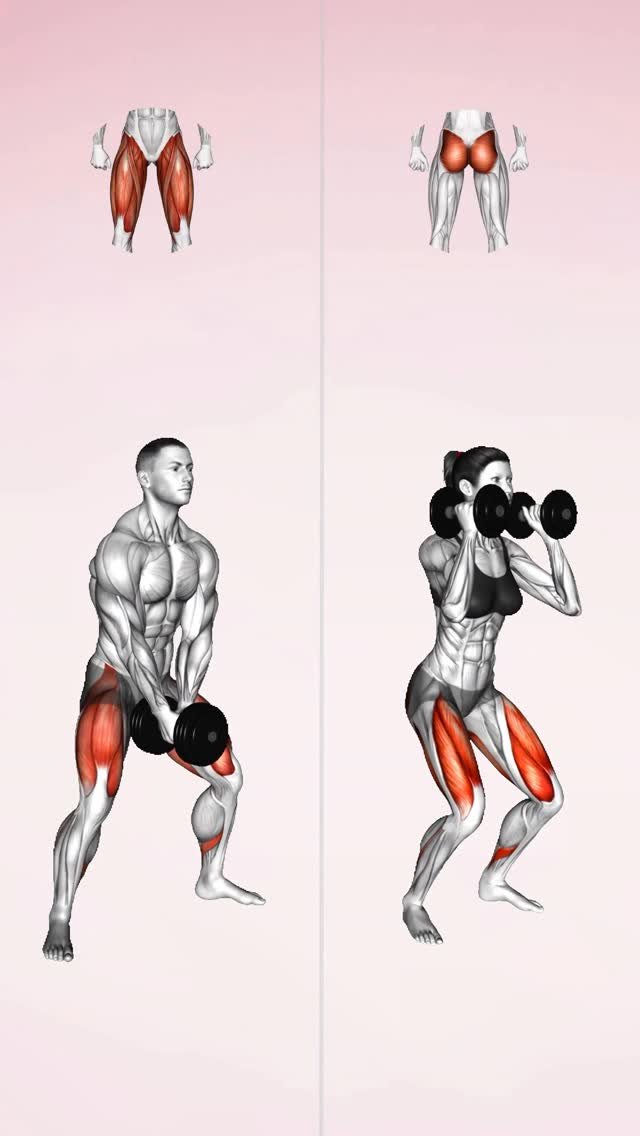physio_tip 게시물 이미지: Know the difference?🤔 Quads Vs....