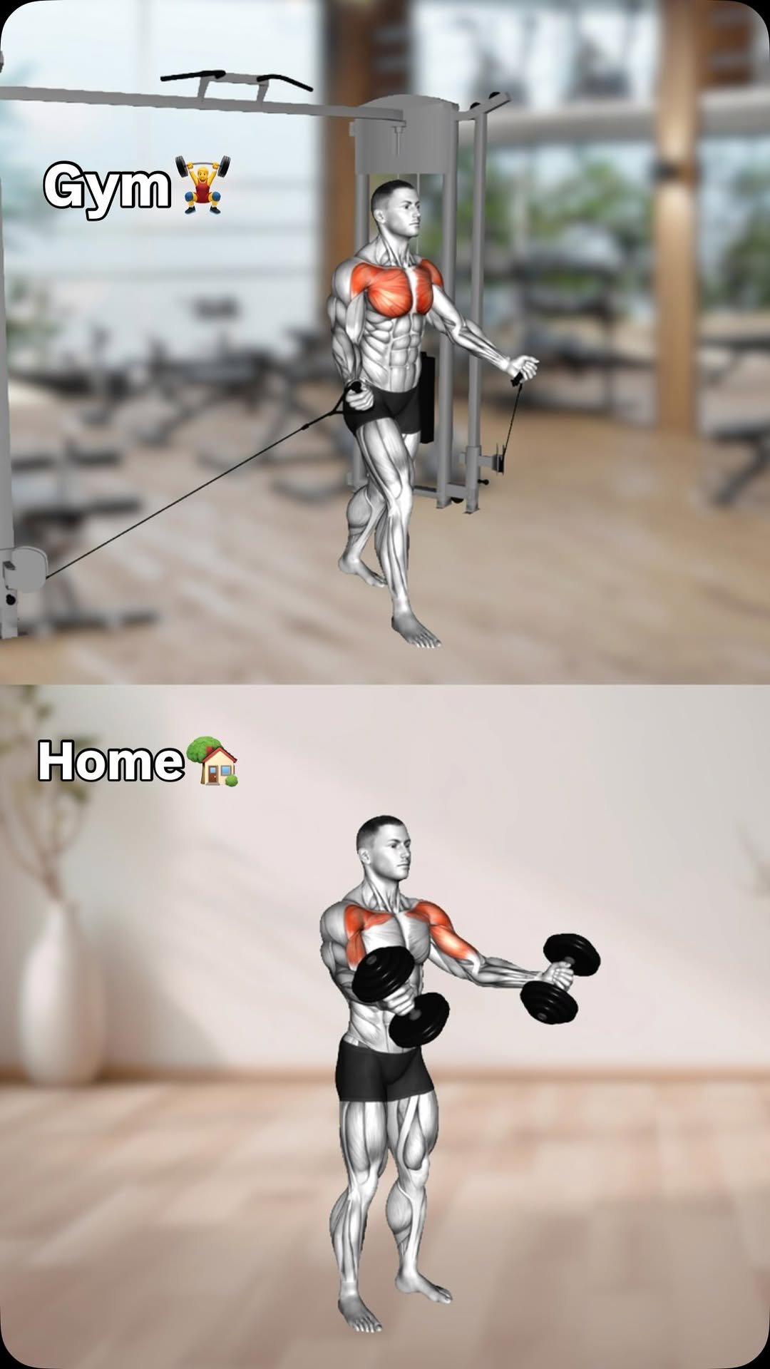 physio_tip 게시물 이미지: Exercise to do at home with dumbbells only💪...