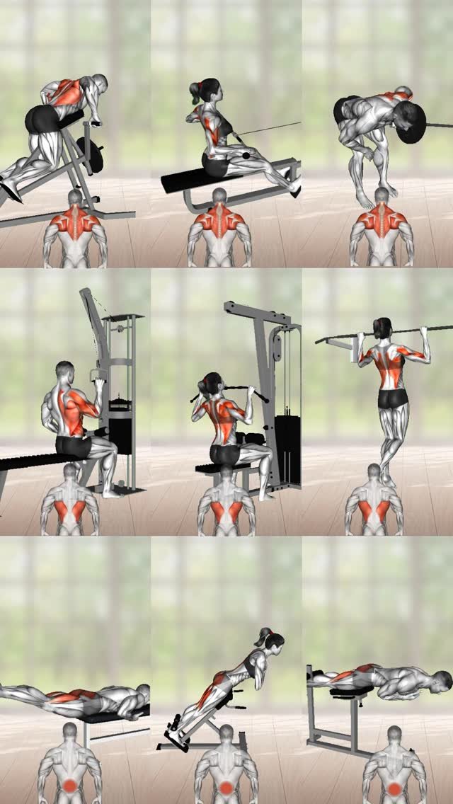 physio_tip 게시물 이미지: Back Exercise Library💪
Comment “App” for link!