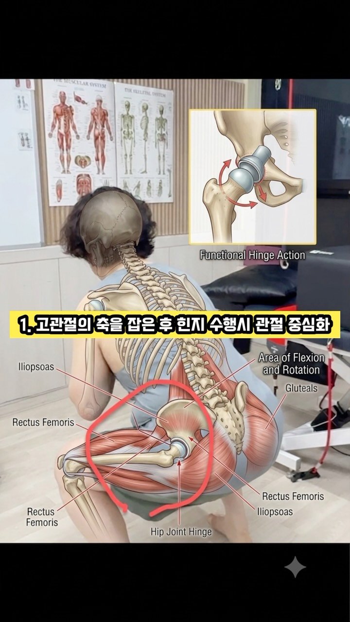 physiolution_21 게시물 이미지: 고관절 축이 잡히지 않은상태에서 하체 운동을 잘하고 계시나요? 대부분 이상이 없다고...