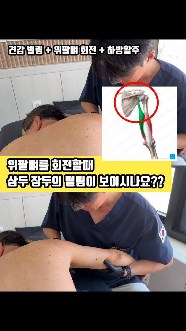 physiolution_21 게시물 이미지: 어깨가 안돌아 가는 많은 이유중 이두근과 삼두근의 장두의 초점을 볼 필요가...