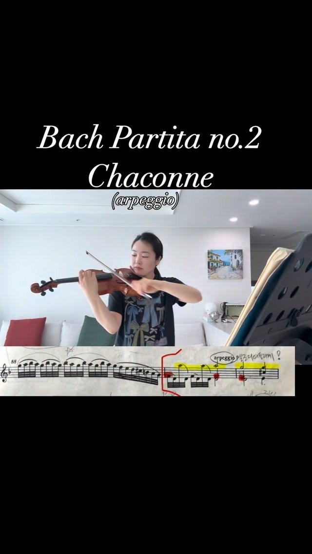 piano_violin_bubu 게시물 이미지: ✔️바흐 샤콘느는
하나의 화성 진행이 반복되면서 
그 위에 다양한 변주가 쌓여가는...