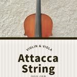 attacca_string 프로필 사진