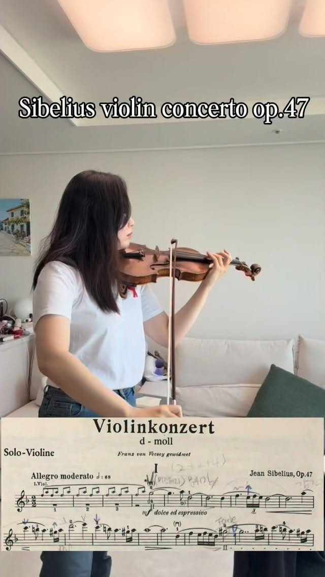 piano_violin_bubu 게시물 이미지: 오랜만 시벨리우스~~~

#시벨리우스바이올린협주곡...