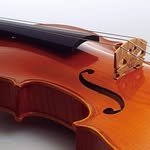 magamusic_violin 프로필 사진