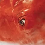 joodwon 프로필 사진