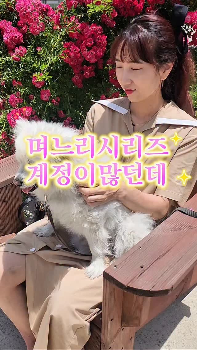 pianosam_ 게시물 이미지: 요즘에 며느리시리즈 계정 진짜 많던데 저는 보면서 현실적으로 와닿지가 않았음
ㅎㅎㅎ...