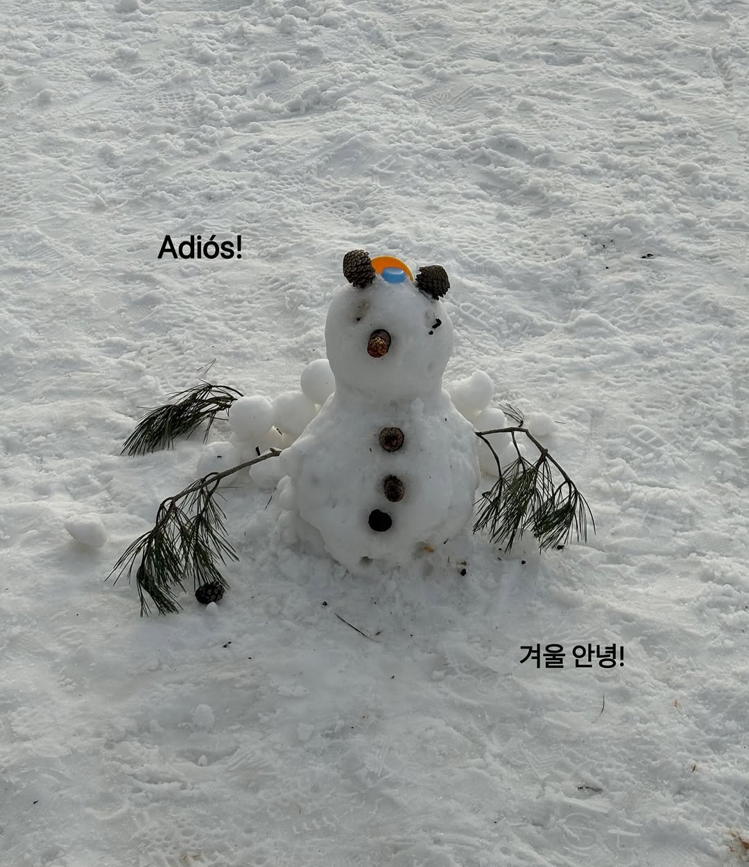 Photo by 루피타 LUPITA on February 17, 2026. May be an image of snowball, snowman, snow and text that says 'Adiós! 겨울 겨울안녕! 안녕!'.