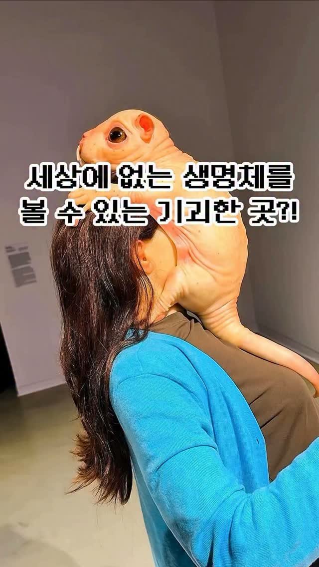 pickstival 게시물 이미지: 세상에 없는 생명체들을 마주하는 기괴한 전시 등장!🧬

오늘 어디갈까?...