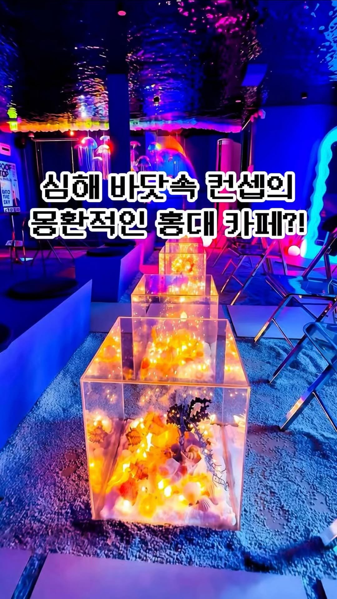 pickstival 게시물 이미지: 심해 바닷속에 들어간듯한 착각이 드는 이색 카페 등장🌊

오늘 어디갈까?...