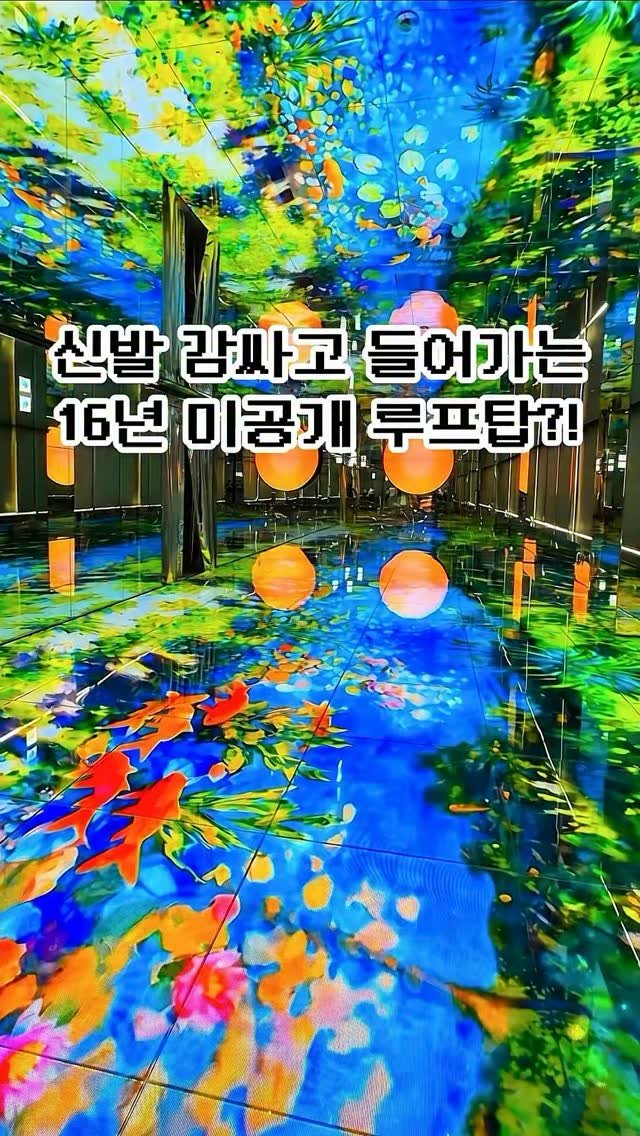 pickstival 게시물 이미지: 신발을 포장해야만 들어갈 수 있는 숨겨진 루프탑 등장!☁️

오늘 어디갈까?...