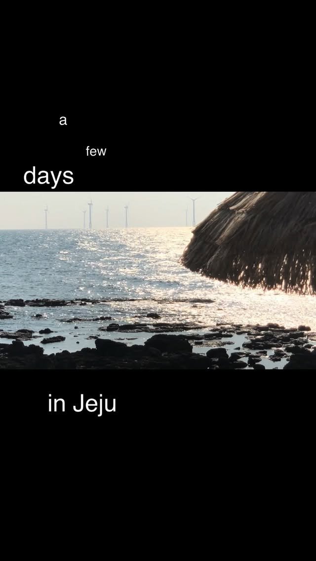 pickyttu_ 게시물 이미지: a few days in Jeju 🌴