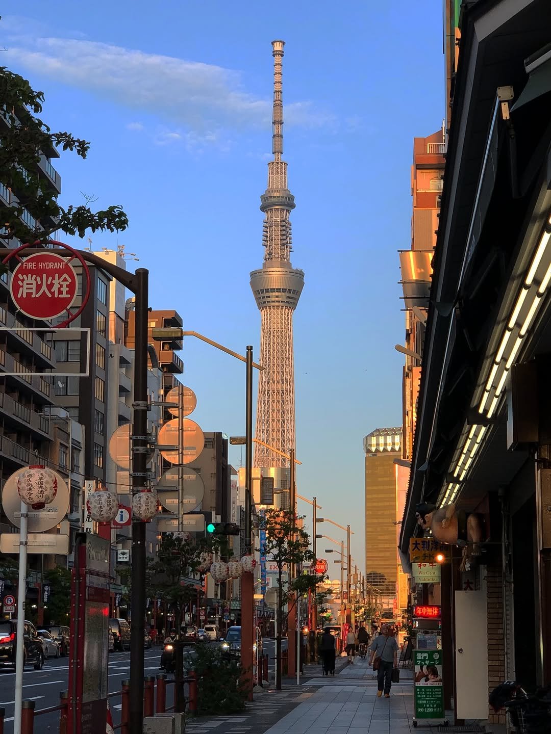 pickyttu_ 게시물 이미지: 스카이트리에 반한 자🗼