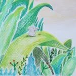 nam_gaemi 프로필 사진