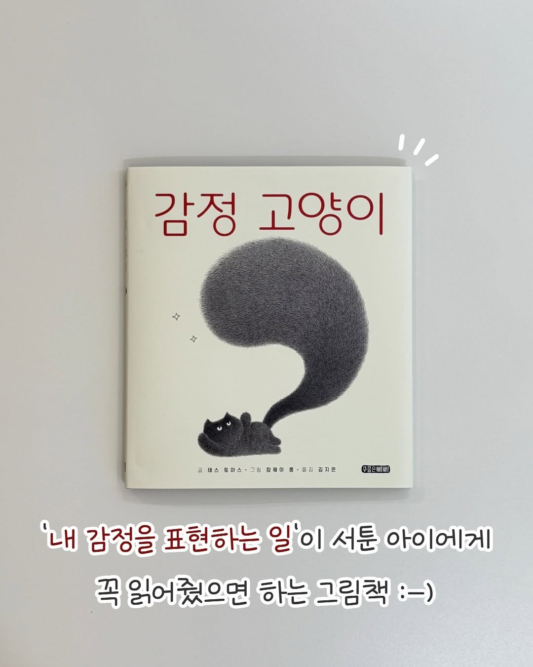 Photo shared by 큐레이터N 나해진 on September 29, 2025 tagging @shypippi. May be an image of book and text.