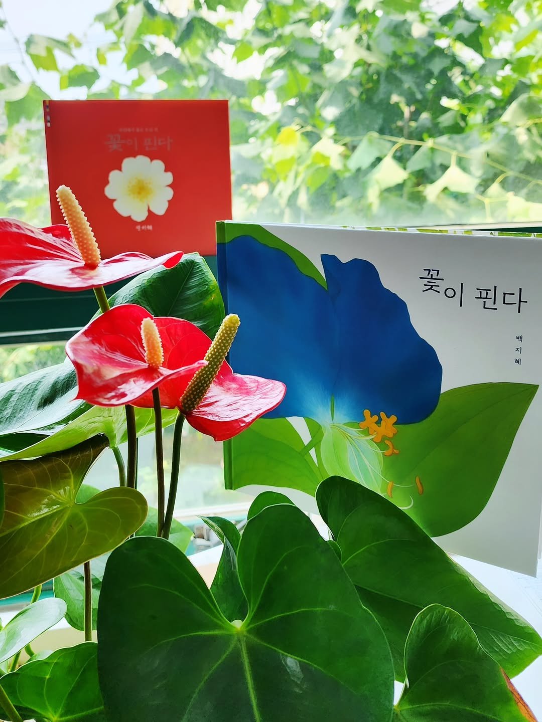 Photo shared by 그림책공작소 on July 29, 2025 tagging @jeehye_baek, and @borimbook. May be an image of flower, lily and text that says '꽃이 꽃이핀다 꼬 초이 핀다'.