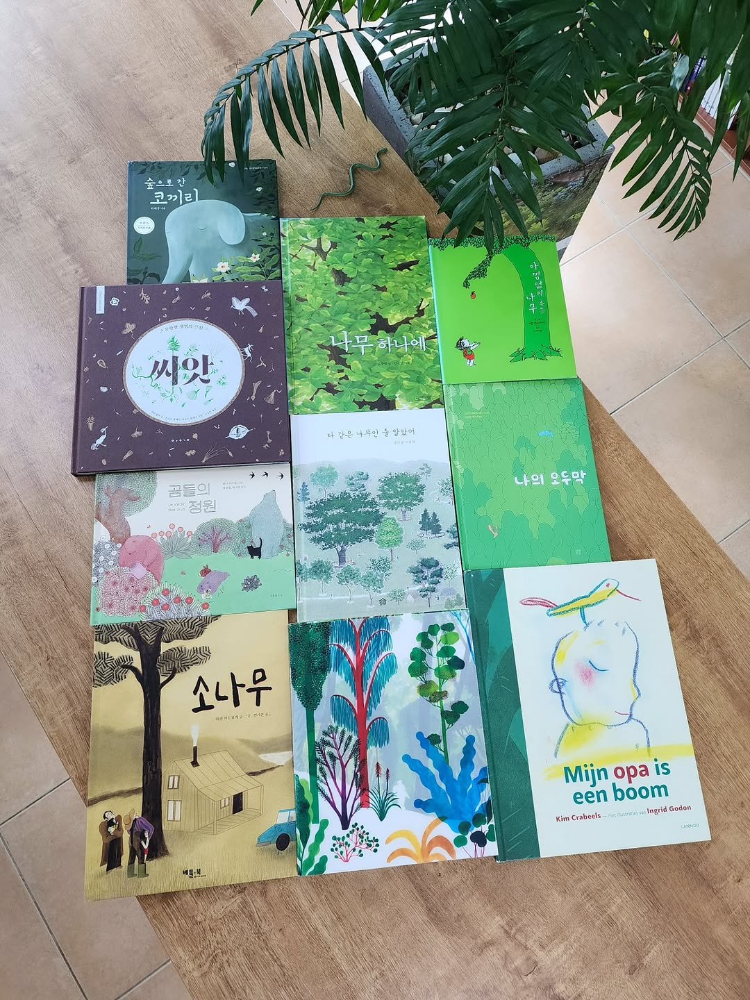 Photo shared by 그림책공작소 on April 02, 2026 tagging @picturebook_gongjackso, @ingridgodon, and @sunnam__kim. May be an illustration of elephant, card, book, calendar, placemat and text that says '숲으로 안 FF 코끼리 2 씨앗 F +무하나에 አተህ! 끝돌의 감 점원 나의 오두학 소나무 ١ Mijn opa is eenboom een boom Ingn นิดลัอท Kim KimCraboe'r የሕያስ MEJG'.