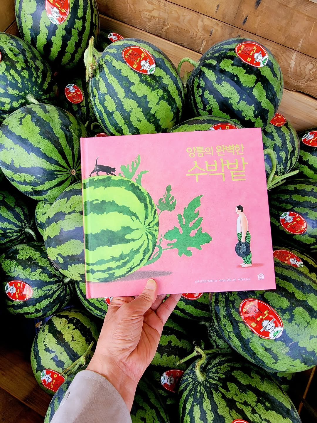 Photo shared by 그림책공작소 on March 05, 2026 tagging @picturebook_gongjackso, @loveravitali, and @marionduvalillustration. May be an image of watermelon, book, vegetable, melon and text.