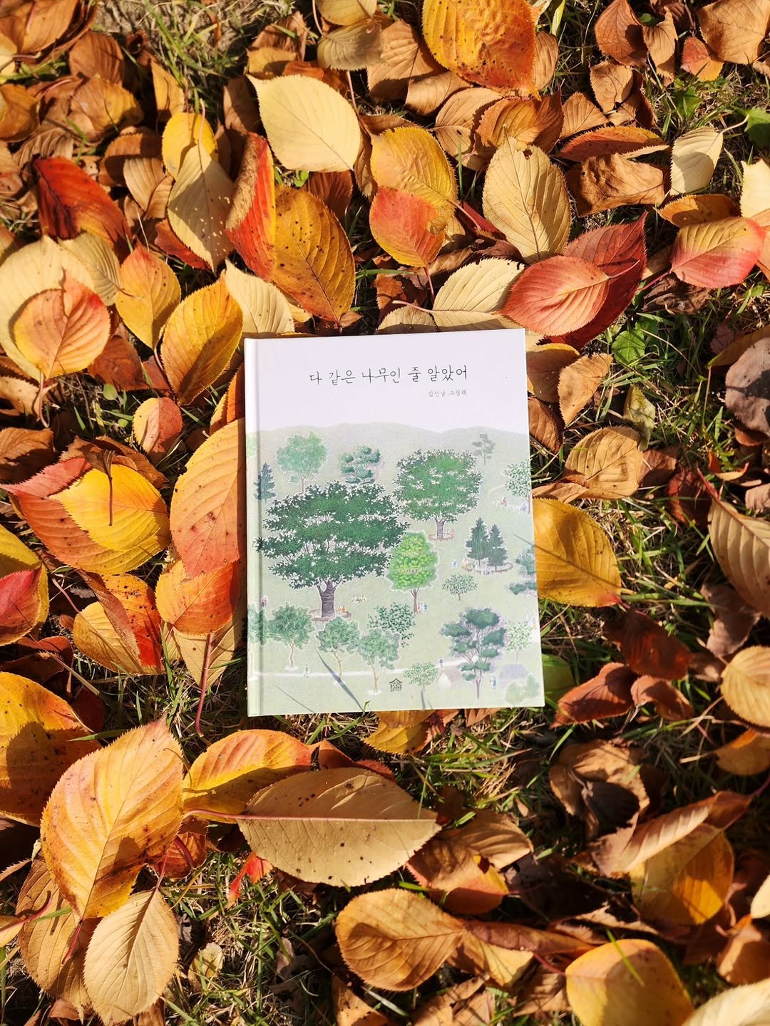 Photo shared by 그림책공작소 on November 05, 2025 tagging @picturebook_gongjackso, and @sunnam__kim. May be an image of book, ivy, devilwood, tree and text.