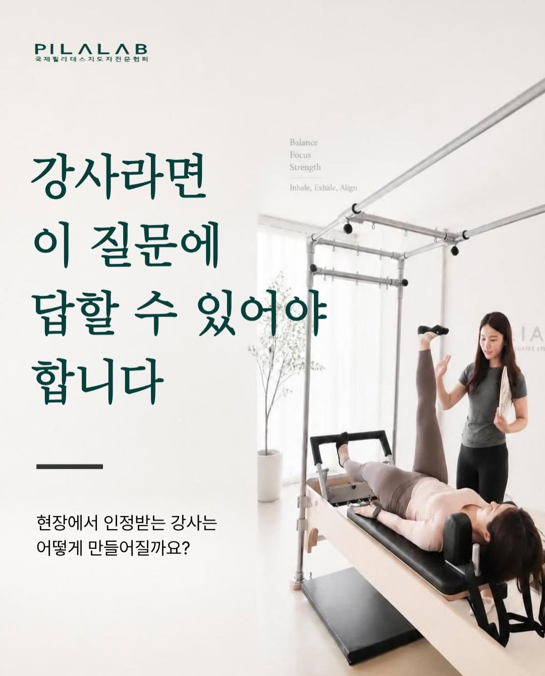 pilalab_official 게시물 이미지: ✅ 상반기 기수 전체 마감
📢 하반기 기수 선착순 모집중!
📩 문의 : DM,...