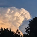 pilgrim6972 인스타그램 프로필 사진