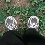 294film 프로필 사진