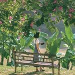 bombyul 프로필 사진