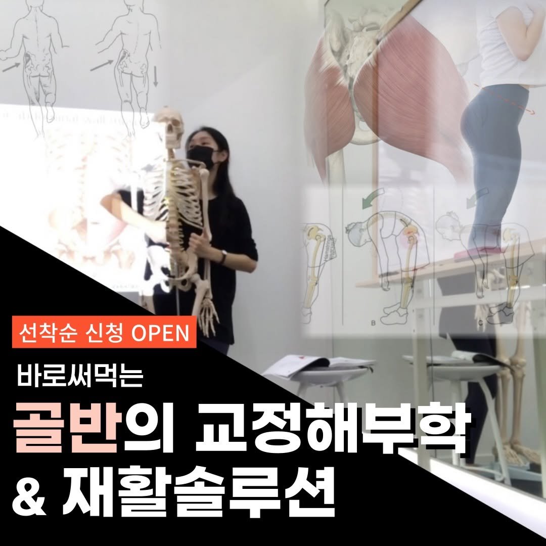 pilosophy_lab_ 게시물 이미지: [골반해부학과&재활솔루션] 워크샵 11기 신청 OPEN🥳

필라테스강사,...