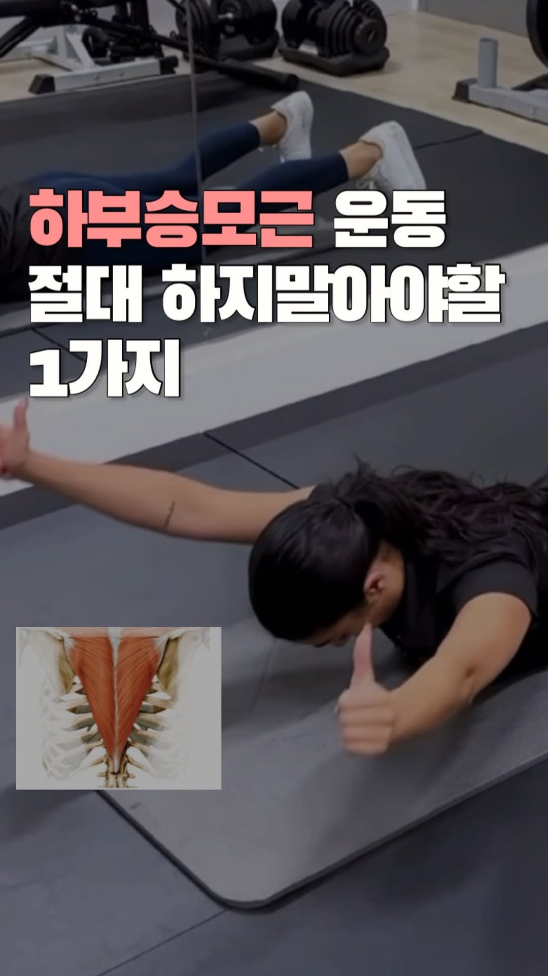 pilosophy_lab_ 게시물 이미지: 📌이런 하부승모근 운동 혹시 효과있으셨나요?
이렇게 팔만 들어올리면 대부분...