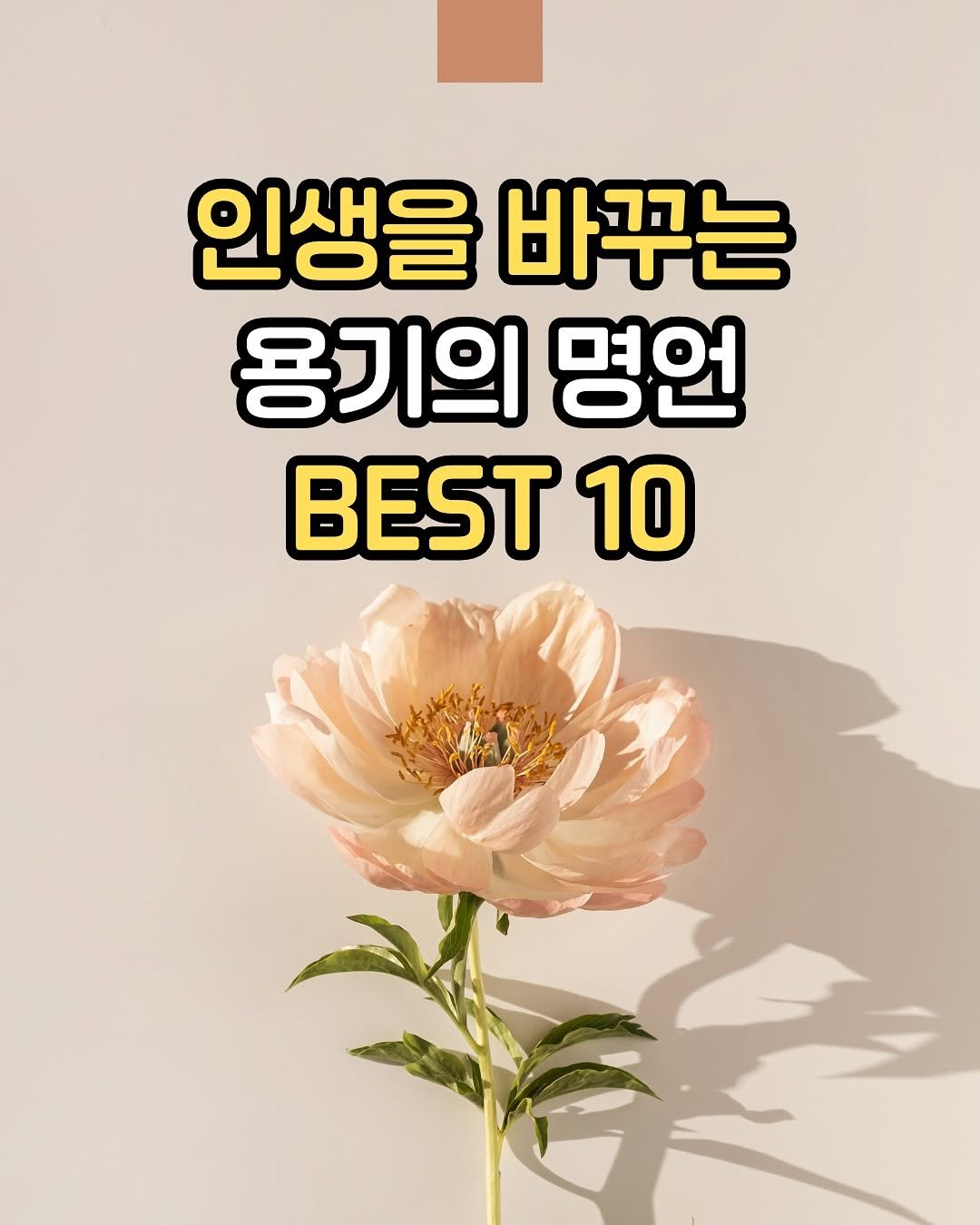 Photo by 핑크톡톡 | 자기계발 • 동기부여 • 감성글귀 on September 18, 2025. May be an image of poster and text that says '인생을 바꾸는 용기의 명언 BEST 10'.