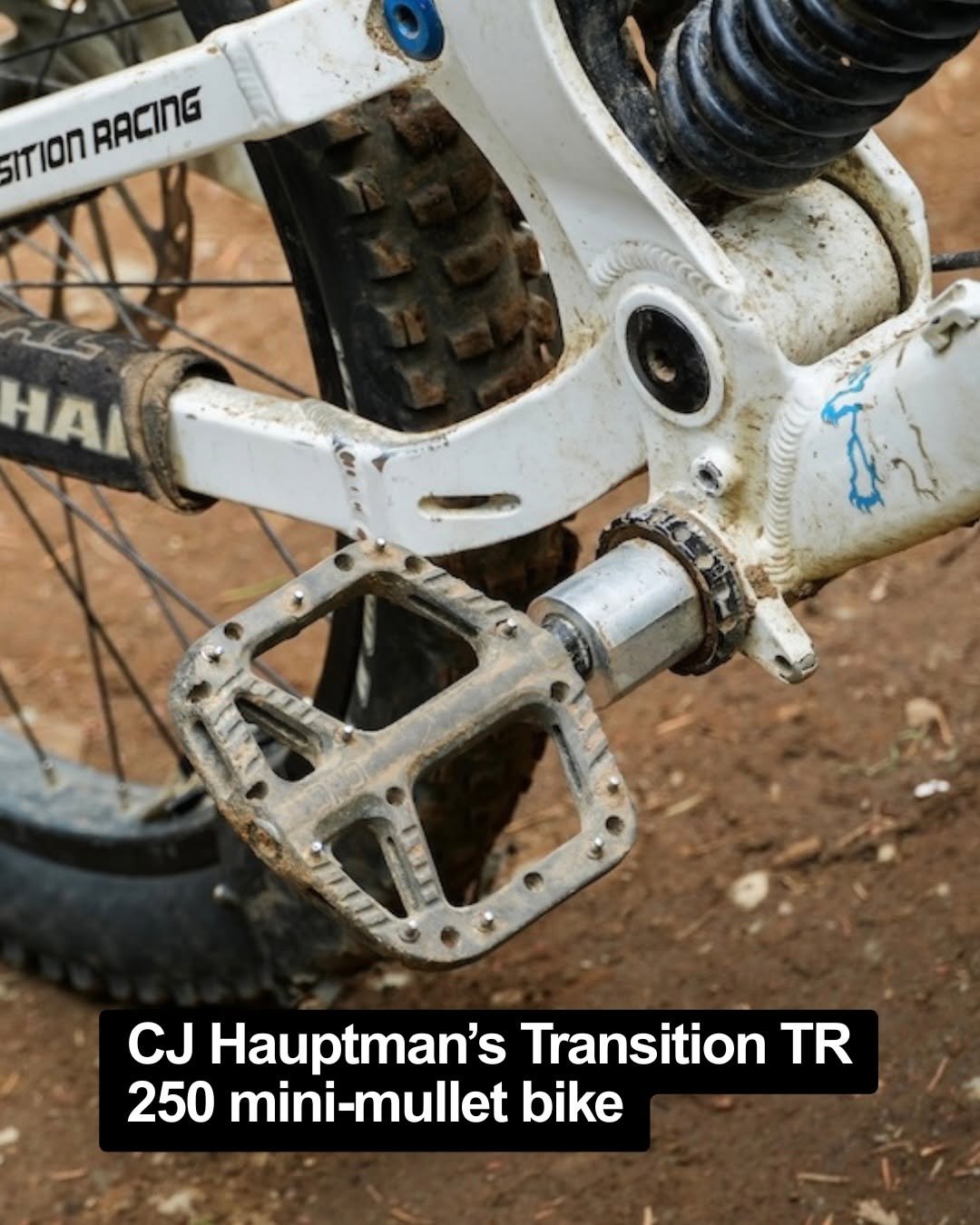 pinkbike 게시물 이미지: @cjhauptman Transition TR 250 is definitely an...