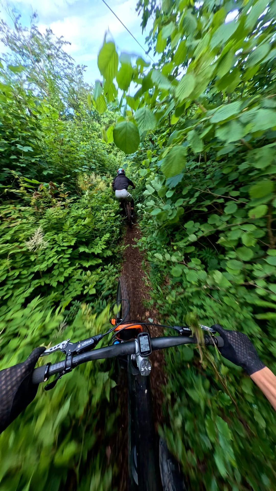 pinkbike 게시물 이미지: Peak enjoyment 🫡
@tarppedh chasing @jakobsnow1...