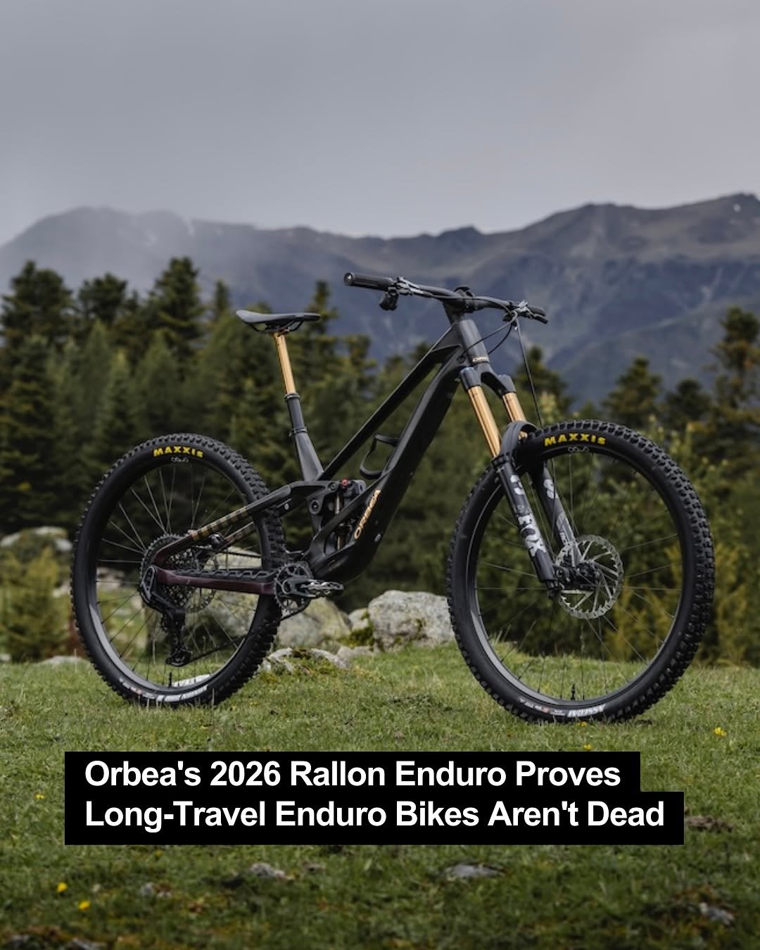 Photo by Pinkbike on December 01, 2025. May be an image of bicycle and text that says 'Orbea's Ortbeats2026RllnEnduroProves 2026 Rallon Enduro Proves Long-Travel Travel Enduro Bikes Aren' 't Dead'.