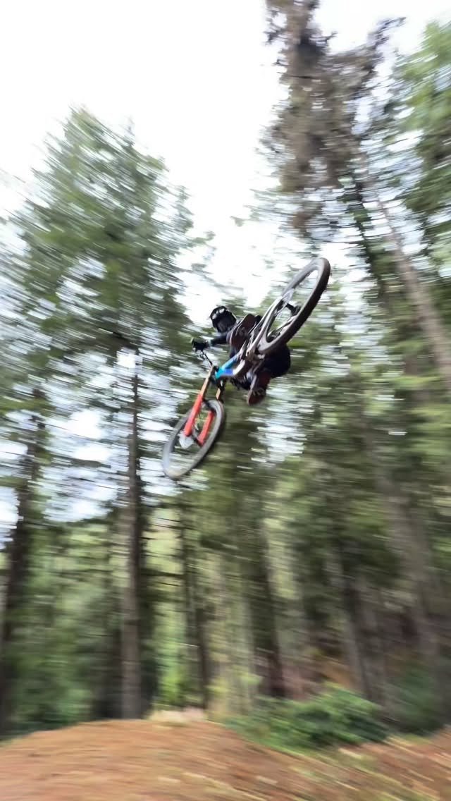 pinkbike 게시물 이미지: 🤙