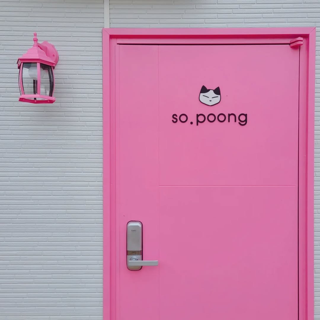 Photo by 핑크레이디🩷 on September 18, 2022.