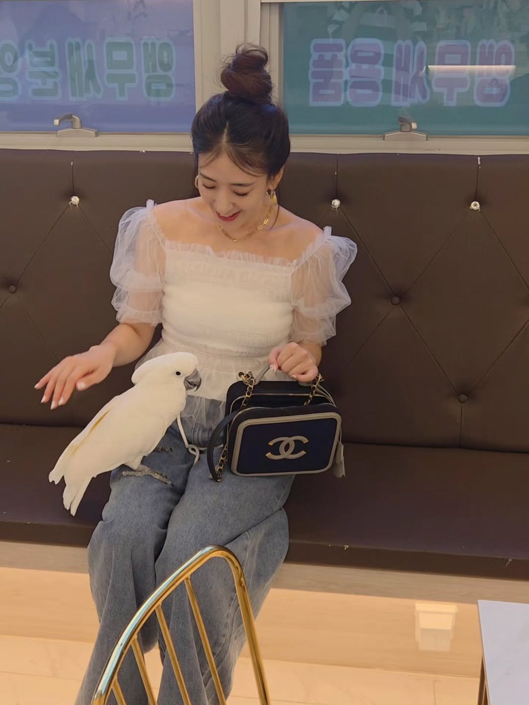 Photo by 핑크레이디🩷 on August 17, 2025. May be an image of 1 person, parrot and text.