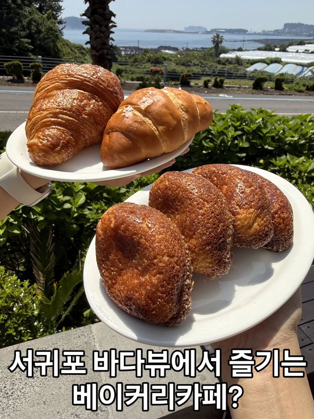 pinksun0202 게시물 이미지: 서귀포 바다뷰에서 베이커리를 즐길 수 있는
#서귀피안보래드베이커스

제주 감성...
