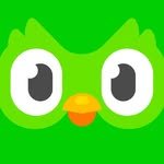 duolingo 프로필 사진