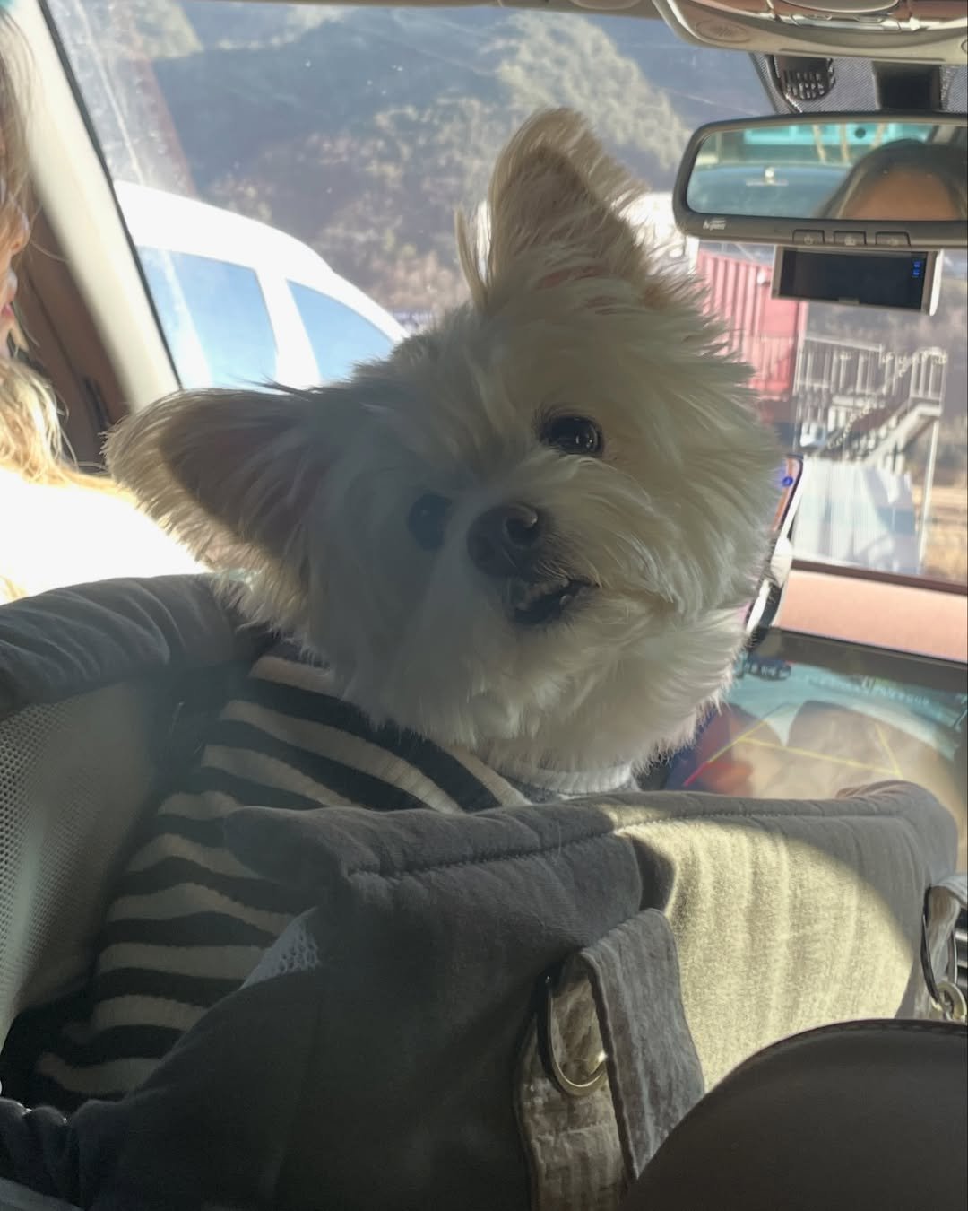 Photo shared by 이연서 on January 02, 2025 tagging @wvngn, @nomaxxer, and @simba_xx.