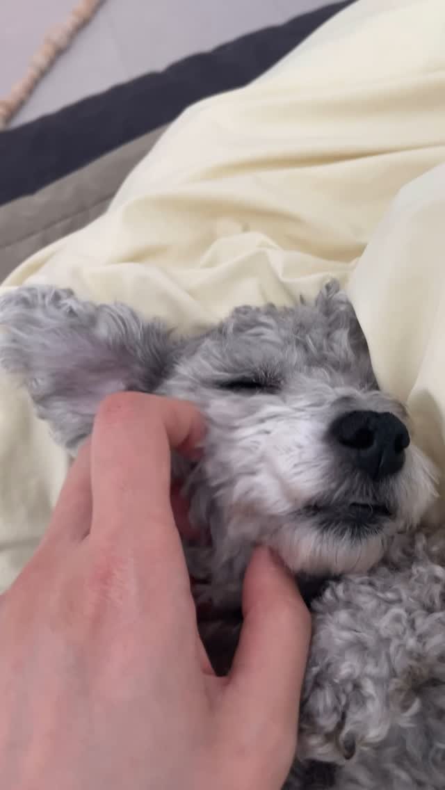 pisxseo 게시물 이미지: 귀여워