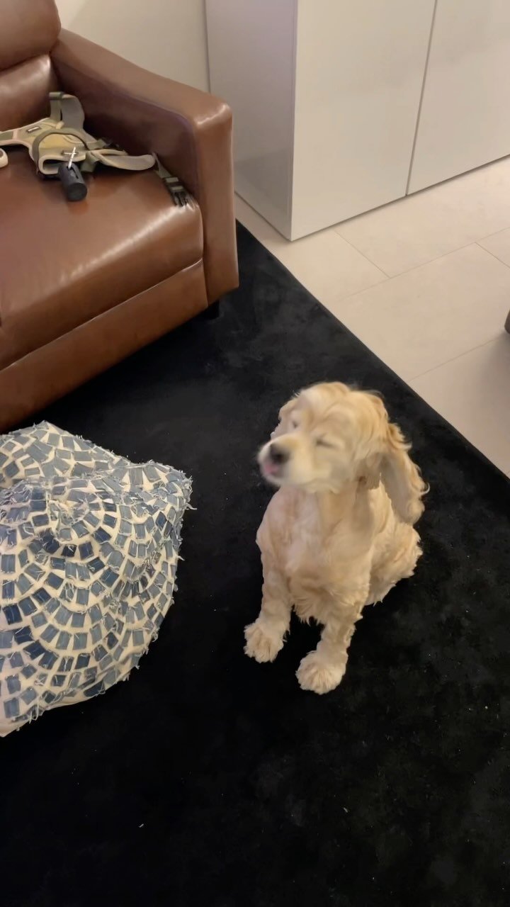 pisxseo 게시물 이미지: 감성발라더 김쵸파
#쵸파