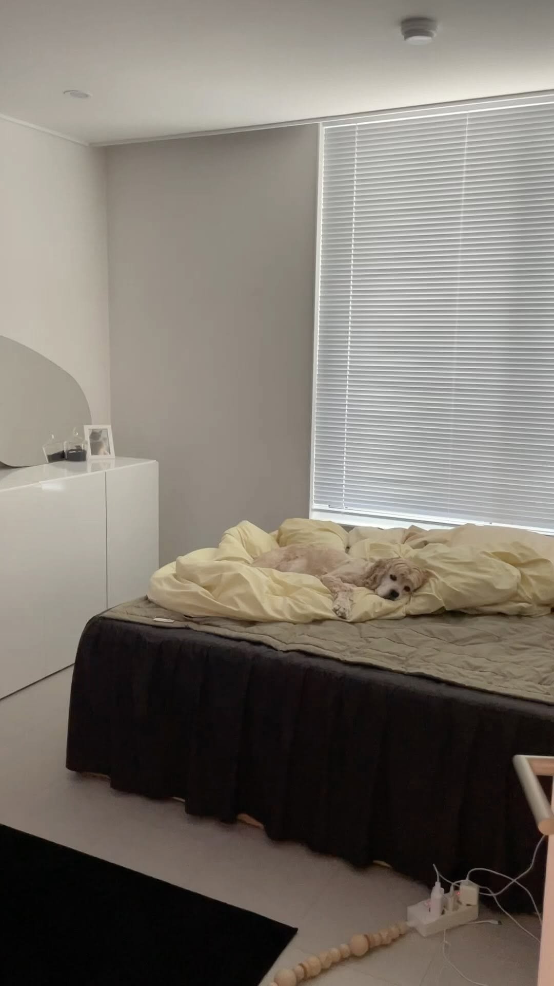 pisxseo 게시물 이미지: 후후 얼굴은 아닌척하지만 몸은 솔직하군
#쵸파