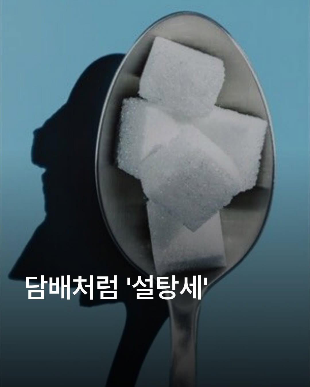 Photo by 자영업 연구소 on January 27, 2026. May be an image of text that says '담배처럼 '설탕세''.