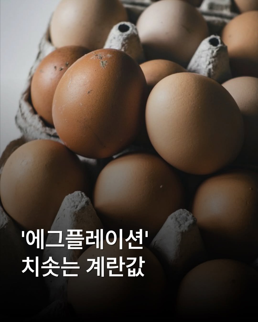 place__lab 게시물 이미지: 계란 한 판 가격이 3개월 만에 9% 가까이 오르며 이른바 ‘에그플레이션’ 우려가...