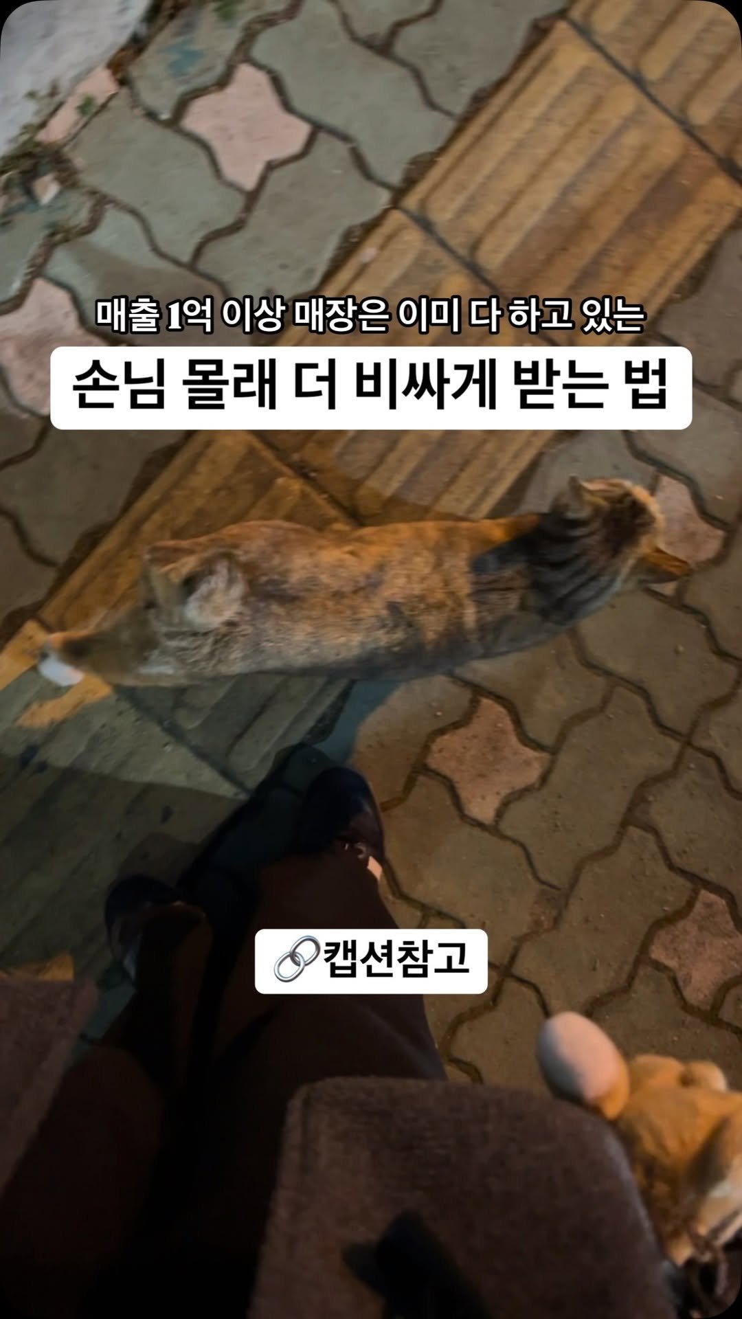 place_coach 게시물 이미지: ⚠️ 많이 팔아도 남는 거 하나도 없는 사장님들 주목 ⚠️

소비자가 눈치채지...