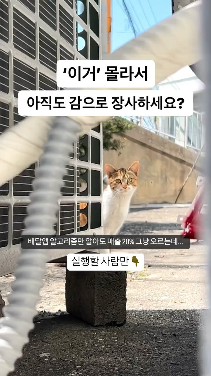 place_coach 게시물 이미지: 💥 계속 감대로 장사하면 매출 더 떨어집니다 💥

월 억대 매출을 올리는 매장들은...