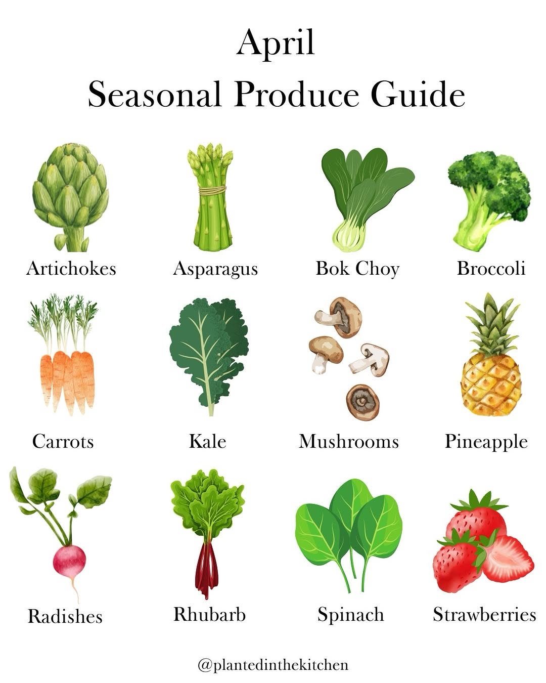Photo by Kelsey Riley on April 03, 2026. May be an image of collard greens, chard, carrot, cabbage, radish and text that says 'April Seasonal Produce Guide Artichokes Asparagus Bok Choy Broccoli Carrots Kale Mushrooms Pineapple Radishes Rhubarb Spinach Strawberries @plantedinthekitchen'.