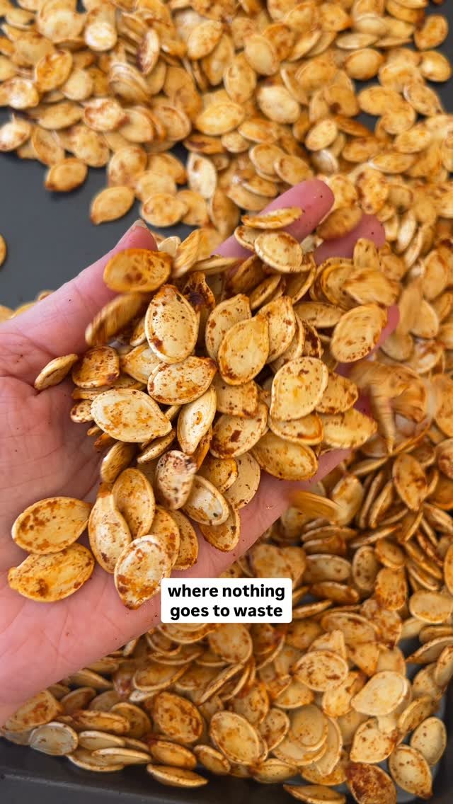 plantyou 게시물 이미지: 🎃PUMPKIN SEEDS! put SAVE below and I’ll send...